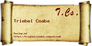 Triebel Csaba névjegykártya
